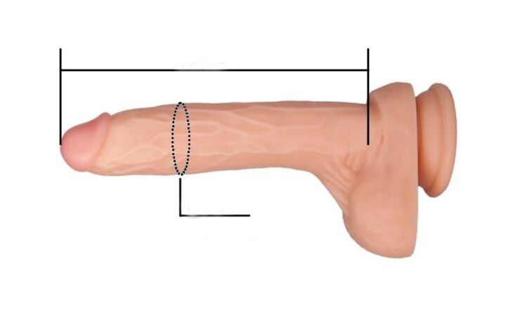 come misurare la dimensione del pene
