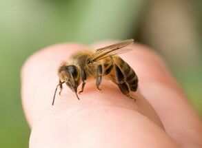 puntura d'ape per l'ingrandimento del pene
