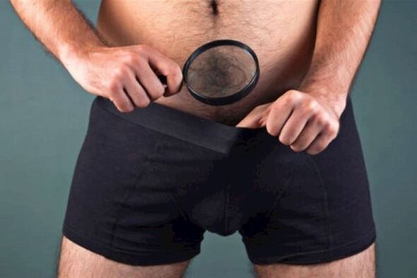 un uomo con una lente d'ingrandimento esamina il suo pene e vuole ingrossarlo